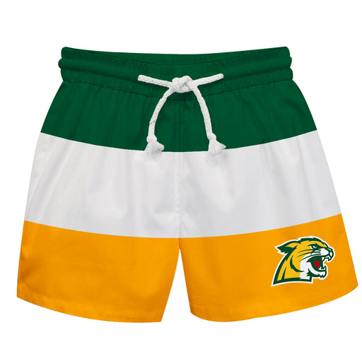 Northern Michigan Wildcats Vive La Fete Green White Gold Stripes Swimtrunks V1