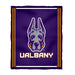 University at Albany Great Danes UALBANY Vive La Fete Kids Game Day Purple Plush Soft Minky Blanket 36 x 48 Mascot