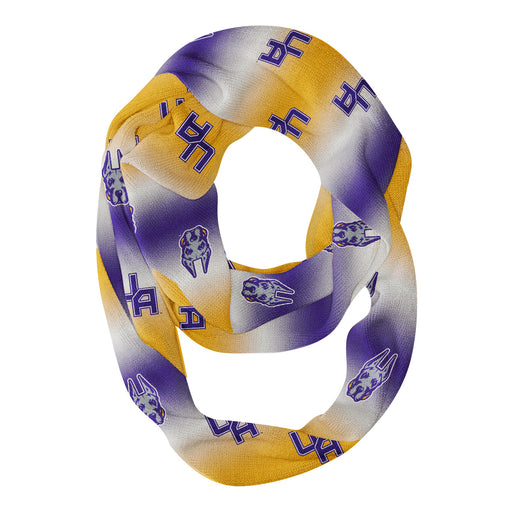 UALBANY Great Danes Vive La Fete All Over Logo Game Day Collegiate Women Ultra Soft Knit Infinity Scarf