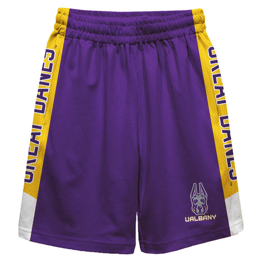 UALBANY Great Danes Vive La Fete Game Day Purple Stripes Boys Solid Yellow Athletic Mesh Short