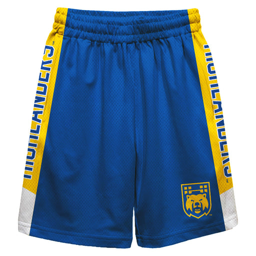 Riverside Highlanders UCR Vive La Fete Game Day Blue Stripes Boys Solid Yellow Athletic Mesh Short