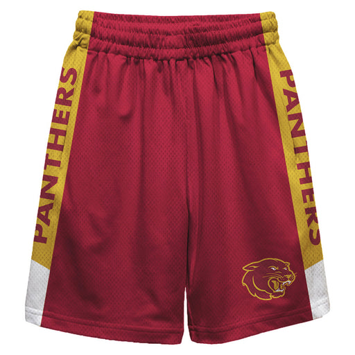 Sacramento City College Panthers Vive La Fete Game Day Red Stripes Boys Solid Gold Athletic Mesh Short