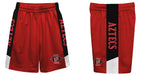 San Diego State Aztecs SDSU Vive La Fete Game Day Red Stripes Boys Solid Black Athletic Mesh Short - Vive La Fête - Online Apparel Store