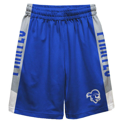 Seton Hall Pirates Vive La Fete Game Day Blue Stripes Boys Solid Gray Athletic Mesh Short