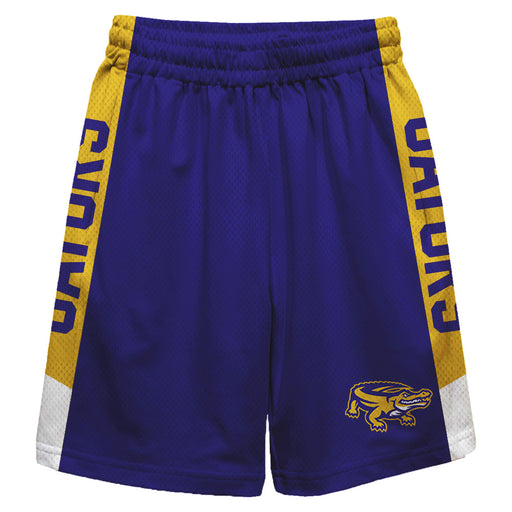 San Francisco State Gators SFSU Vive La Fete Game Day Purple Stripes Boys Solid Gold Athletic Mesh Short