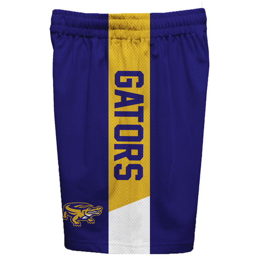 San Francisco State Gators SFSU Vive La Fete Game Day Purple Stripes Boys Solid Gold Athletic Mesh Short - Vive La Fête - Online Apparel Store