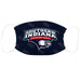 Southern Indiana Screaming Eagles USI 3 Ply Face Mask 3 Pack Game Day Collegiate Unisex Face Covers Reusable Washable - Vive La Fête - Online Apparel Store