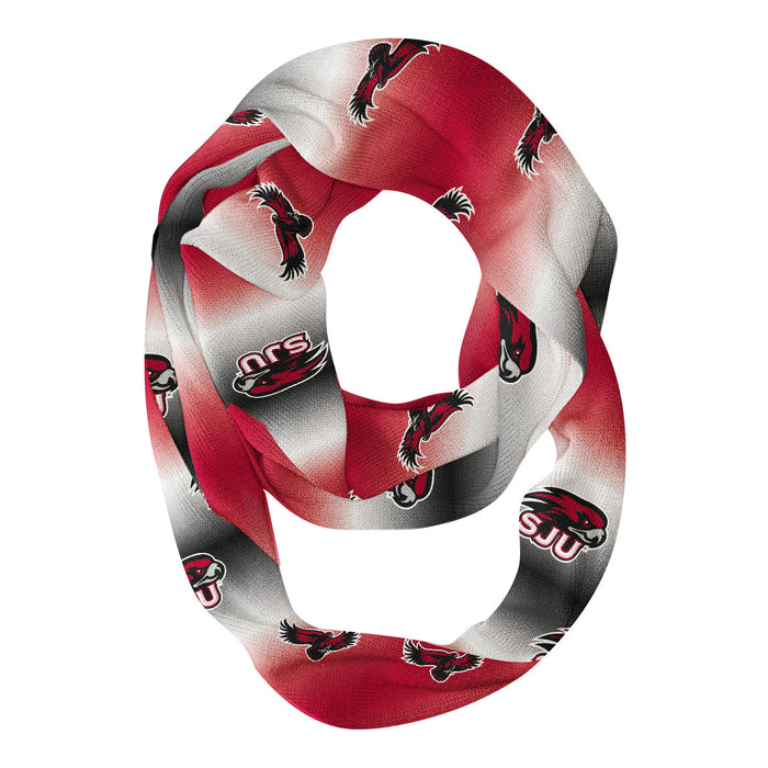 St. Josephs Hawks Vive La Fete All Over Logo Game Day Collegiate Women Ultra Soft Knit Infinity Scarf