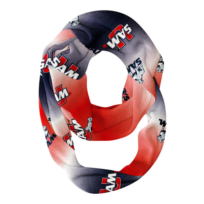 Samford Bulldogs Vive La Fete All Over Logo Game Day Collegiate Women Ultra Soft Knit Infinity Scarf