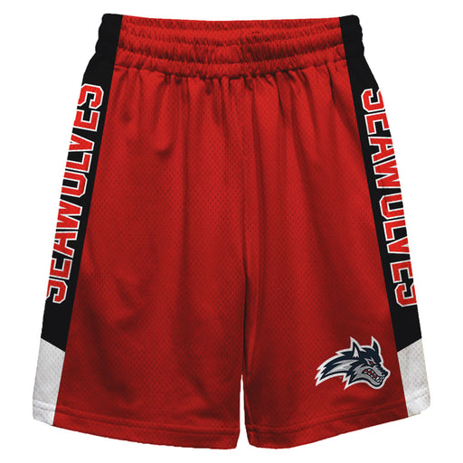 Stony Brook Seawolves Vive La Fete Game Day Red Stripes Boys Solid Black Athletic Mesh Short