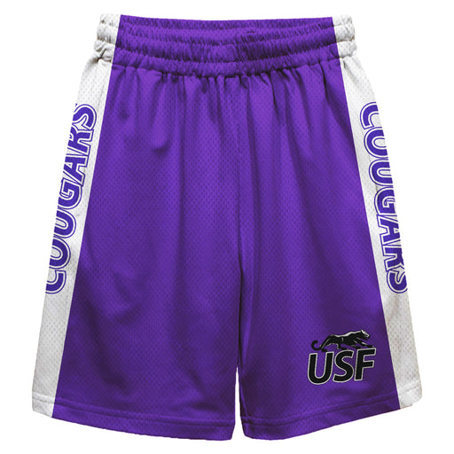 Sioux Falls Cougars Vive La Fete Game Day Purple Stripes Boys Solid White Athletic Mesh Short