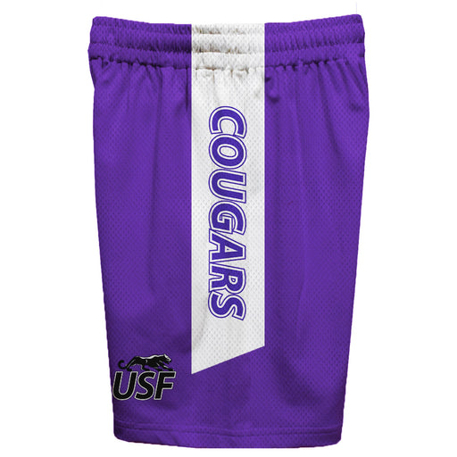 Sioux Falls Cougars Vive La Fete Game Day Purple Stripes Boys Solid White Athletic Mesh Short - Vive La Fête - Online Apparel Store