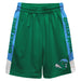 Tulane Green Wave Vive La Fete Game Day Green Stripes Boys Solid Blue Athletic Mesh Short