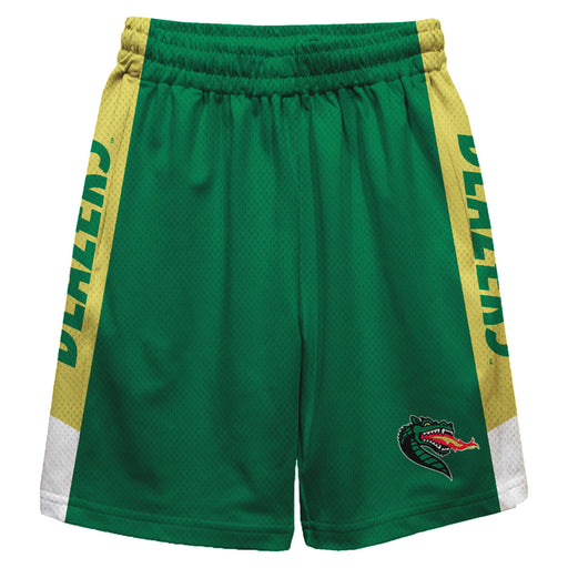 UAB Blazers Blazers Vive La Fete Game Day Green Stripes Boys Solid Gold Athletic Mesh Short