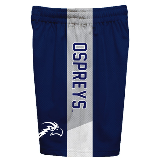 North Florida Ospreys Vive La Fete Game Day Blue Stripes Boys Solid Gray Athletic Mesh Short - Vive La Fête - Online Apparel Store
