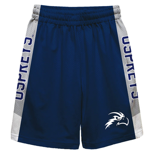 North Florida Ospreys Vive La Fete Game Day Blue Stripes Boys Solid Gray Athletic Mesh Short