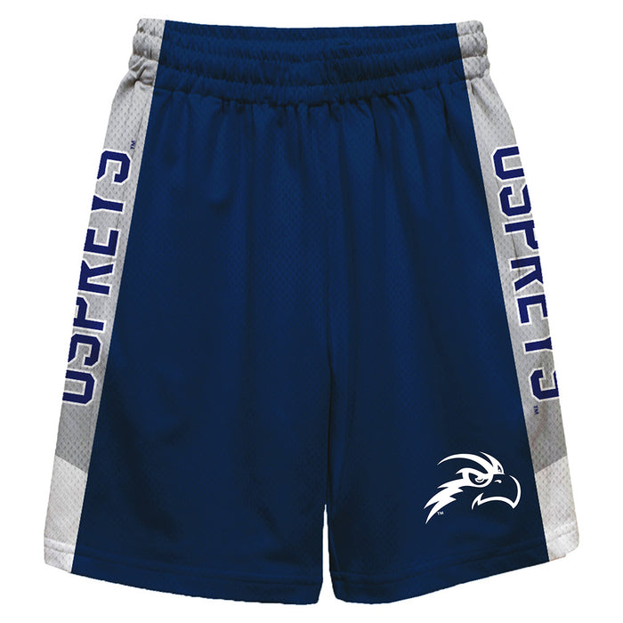 North Florida Ospreys Vive La Fete Game Day Blue Stripes Boys Solid Gray Athletic Mesh Short