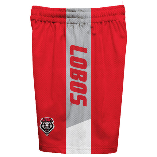 New Mexico Lobos Vive La Fete Game Day Red Stripes Boys Solid Gray Athletic Mesh Short - Vive La Fête - Online Apparel Store