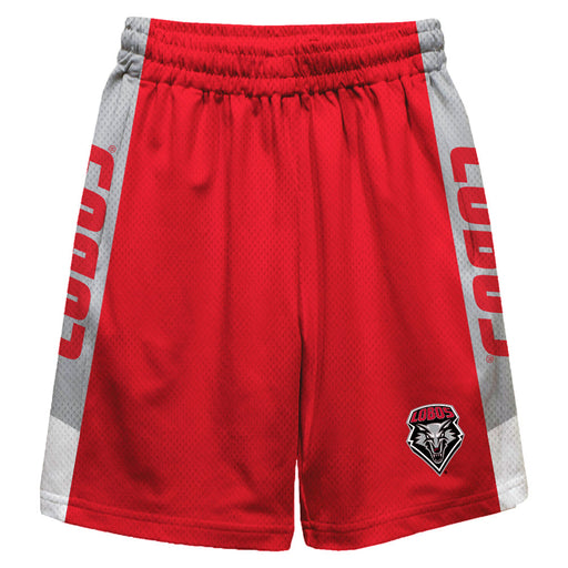 New Mexico Lobos Vive La Fete Game Day Red Stripes Boys Solid Gray Athletic Mesh Short
