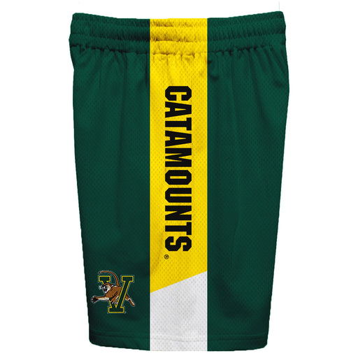 Vermont Catamounts Vive La Fete Game Day Green Stripes Boys Solid Gold Athletic Mesh Short - Vive La Fête - Online Apparel Store