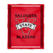 Valdosta Blazers Vive La Fete Kids Game Day Red Plush Soft Minky Blanket 36 x 48 Mascot