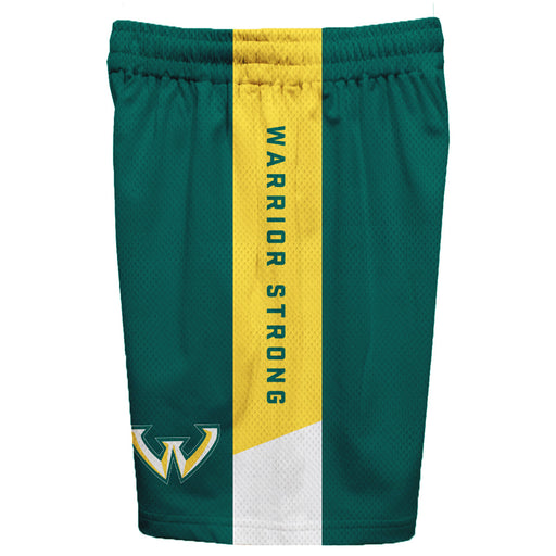 Wayne State Warriors Vive La Fete Game Day Green Stripes Boys Solid Gold Athletic Mesh Short - Vive La Fête - Online Apparel Store