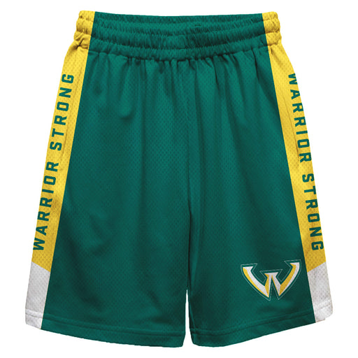 Wayne State Warriors Vive La Fete Game Day Green Stripes Boys Solid Gold Athletic Mesh Short