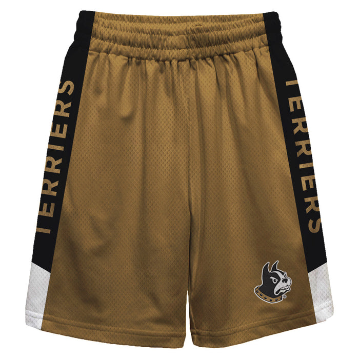 Wofford Terriers Vive La Fete Game Day Gold Stripes Boys Solid Black Athletic Mesh Short