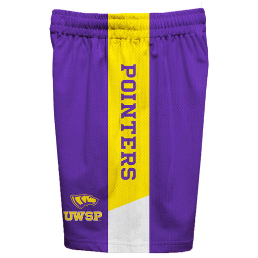 UW-Stevens Point Pointers UWSP Vive La Fete Game Day Purple Stripes Boys Solid Gold Athletic Mesh Short - Vive La Fête - Online Apparel Store