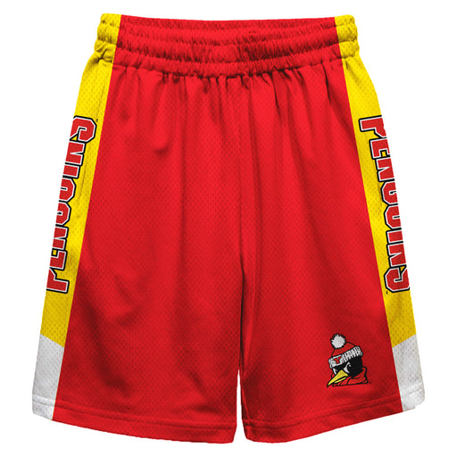 Youngstown State Penguins Vive La Fete Game Day Red Stripes Boys Solid Yellow Athletic Mesh Short