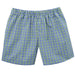 Blue and Green Plaid Boys Short