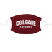 Colgate University Raiders 3 Ply Vive La Fete Face Mask 3 Pack Game Day Collegiate Unisex Face Covers Reusable Washable - Vive La Fête - Online Apparel Store